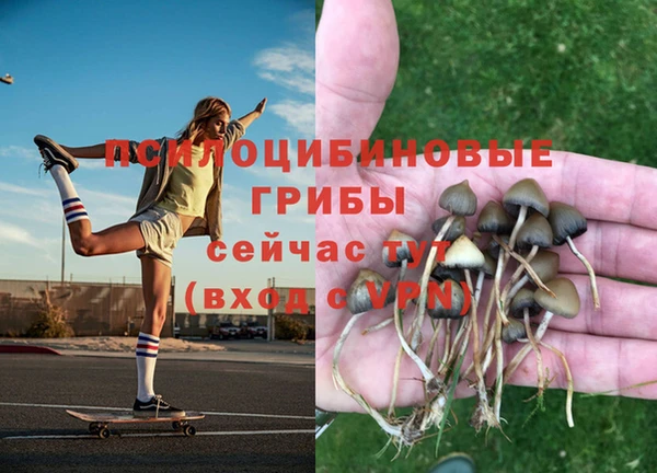 трава Армянск