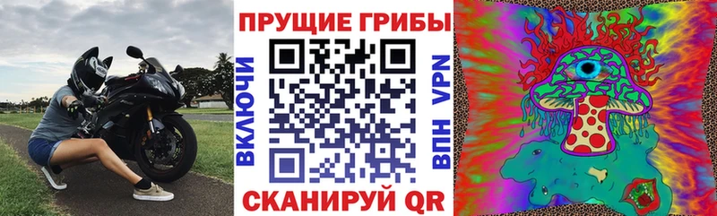 Галлюциногенные грибы Psilocybe  купить  цена  Королёв 